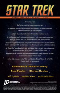 Preview of “Star Trek #29”